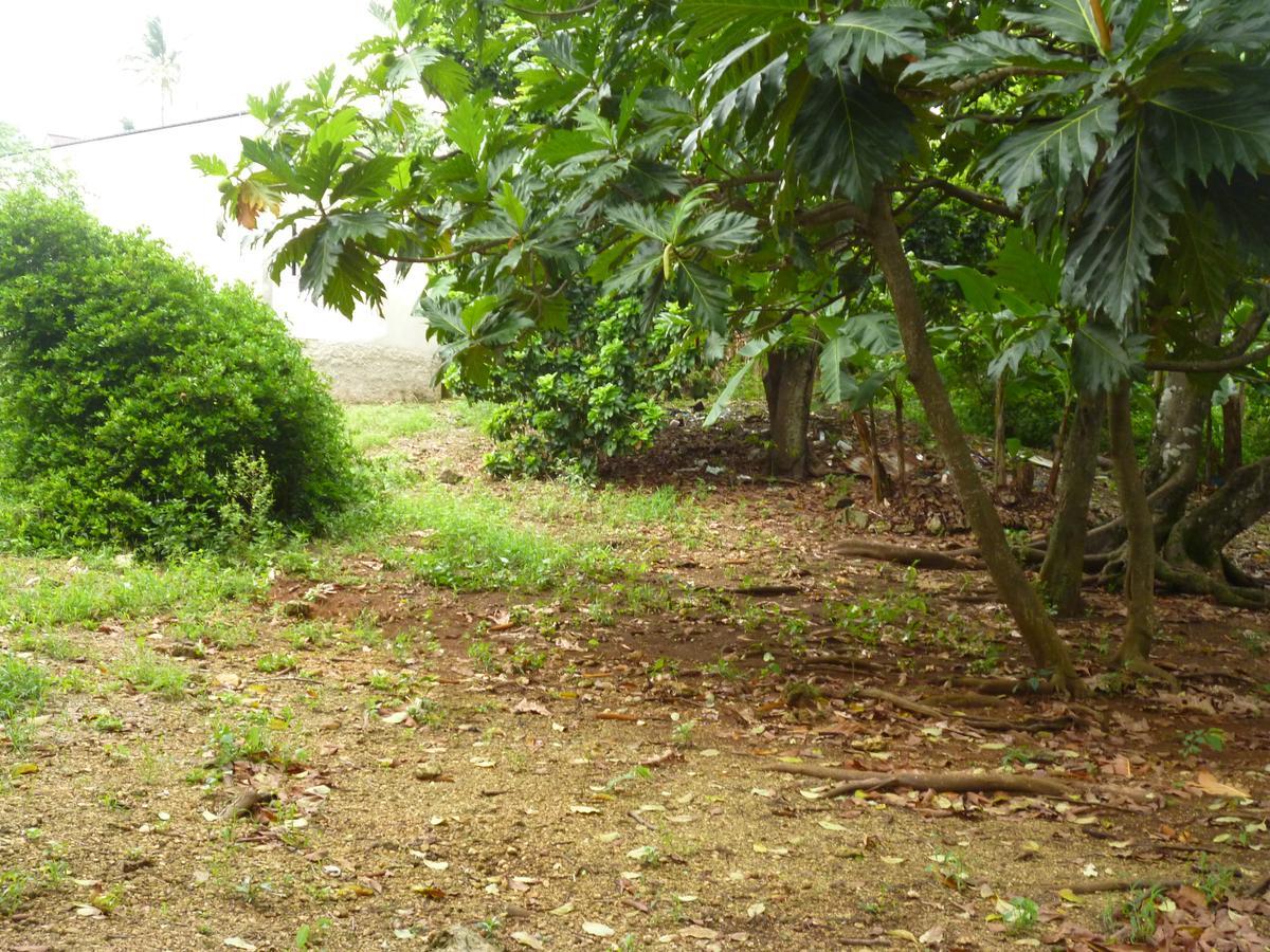 Posada Nativa Miss Casira San Andrés Dış mekan fotoğraf